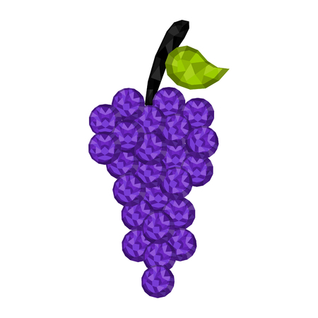Isolated geometric grapes. Low Poly. Vector illustration designのイラスト素材