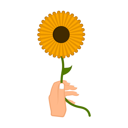 Hand holding a sunflower. Vector illustration designのイラスト素材
