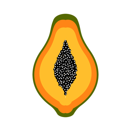 Front view of a cut papaya. Vector illustration designのイラスト素材