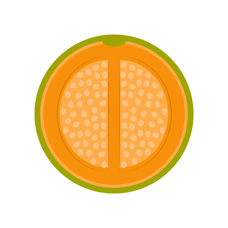 Isolated front view of a cut melo. Vector illustration designのイラスト素材