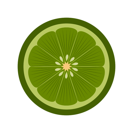 Front view of a cut lime. Vector illustration designのイラスト素材