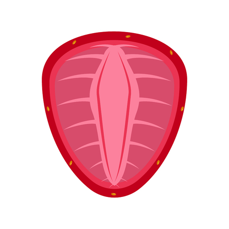 Front view of a cut strawberry. Vector illustration designのイラスト素材