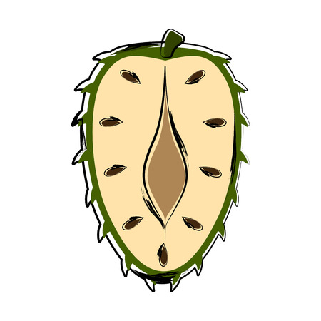 Sketch of a front view of a cut soursop. Vector illustration designのイラスト素材