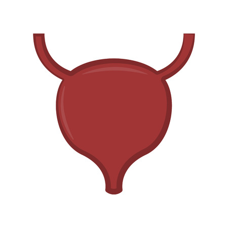 Isolated human uterus image. Vector illustration designのイラスト素材