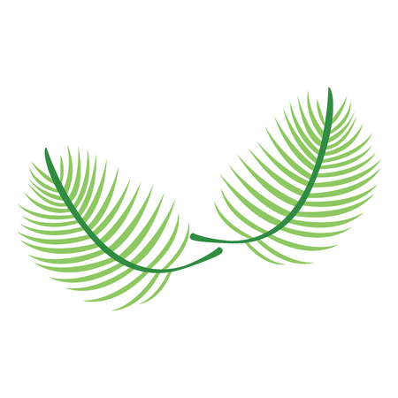 Isolated palm leaves image. Vector illustration designのイラスト素材
