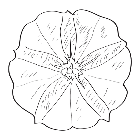 Isolated sketch of a flower. Vector illustration designのイラスト素材