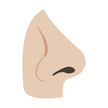 Isolated human nose image. Vector illustration designのイラスト素材