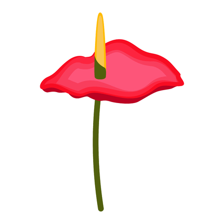 Isolated anthurium flower image. Vector illustration designのイラスト素材