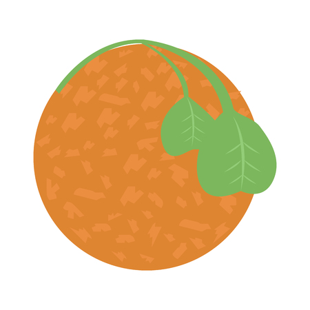 Isolated acarajes image. Traditional brazilian food - Vectorのイラスト素材