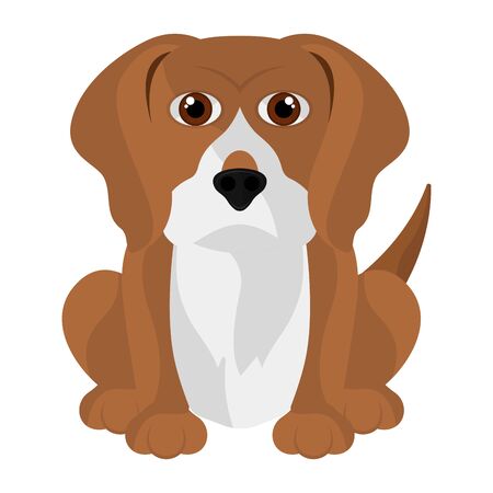 Isolated cute beagle cartoon. Dog breeds - Vectorのイラスト素材