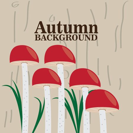 Autumn background with a mushrooms - Vector illustrationのイラスト素材