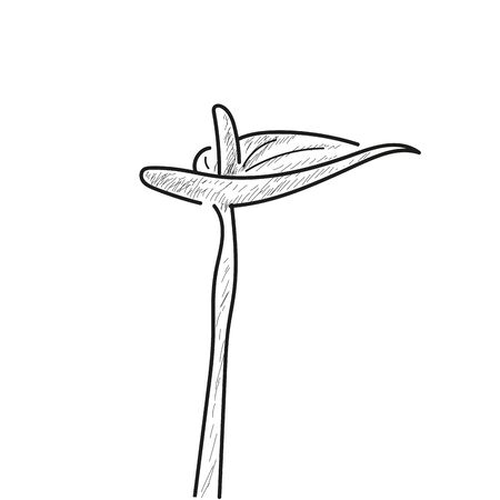 Isolated flower sketch. Spring season - Vector illustrationのイラスト素材