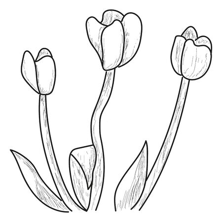 Isolated flower sketch. Spring season - Vector illustrationのイラスト素材