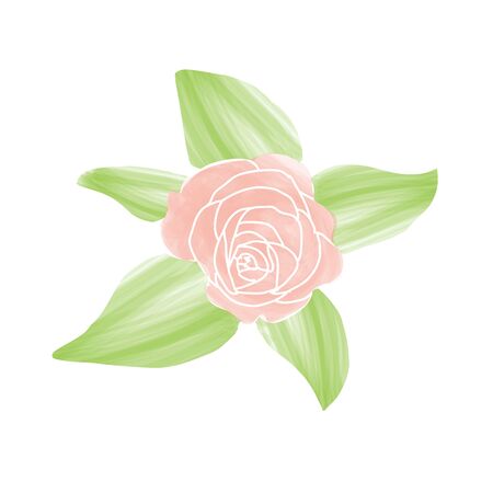Isolated watercolor flower. Spring season - Vector illlustrationのイラスト素材