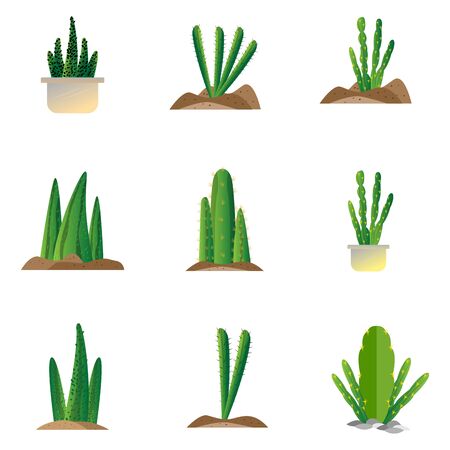 Set of cactus icons over a white background - Vectorのイラスト素材