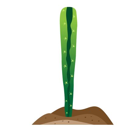 Isolated cactus icon over ground - Vector illustrationのイラスト素材