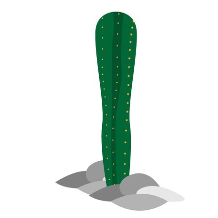 Isolated cactus icon over a rocks - Vectorのイラスト素材