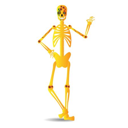 Isolated decorated skeleton. Mexican traditions - Vector illustrationのイラスト素材