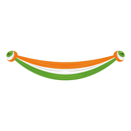 Flag of India. Isolated flag icon - Vectorのイラスト素材