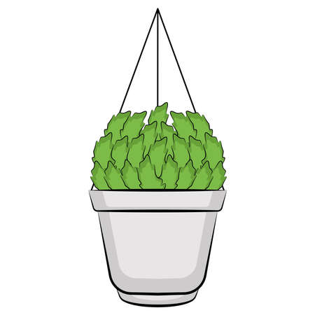 Vegetable or spice plant in a pot. Urban farming gardening - Vectorのイラスト素材