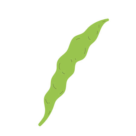 Isolated sketch of vegetable bean icon Flat design Vectorのイラスト素材