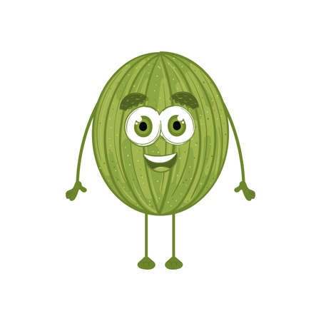 Isolated watermelon cartoon kawaii Fruit icon Vectorのイラスト素材