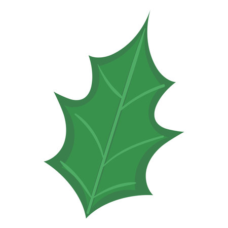 Isolated detailed colored holly leaf Vectorのイラスト素材