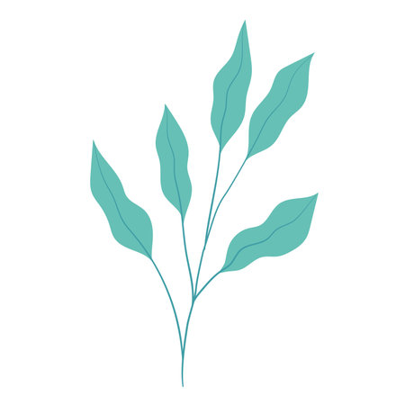 Isolated colored summer leaf sketch icon Vectorのイラスト素材