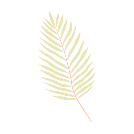 Isolated colored summer leaf sketch icon Vectorのイラスト素材
