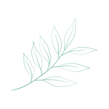 Isolated summer leaf sketch icon Vectorのイラスト素材