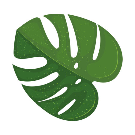 Isolated colored seasonal summer leaf sketch icon Vectorのイラスト素材