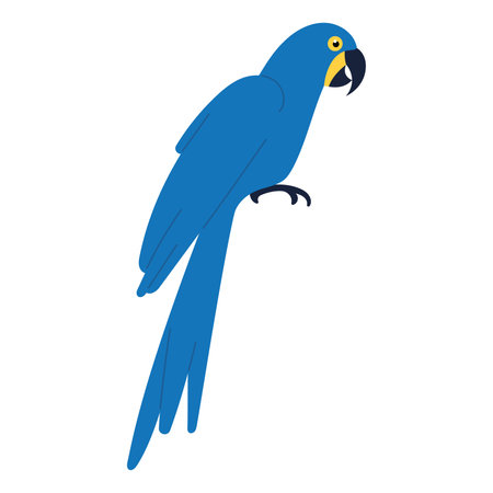Colored macaw Tropical exotic bird Vectorのイラスト素材