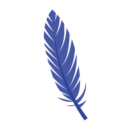 Colored bird feather Decorative object Vectorのイラスト素材