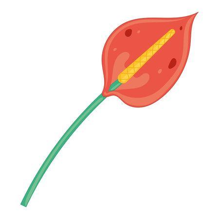 Minimalist red and yellow flower with long green stem Vectorのイラスト素材