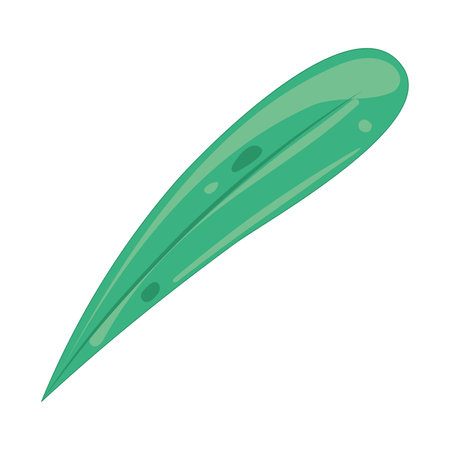 Single green leaf with smooth surface and pointed tip Vectorのイラスト素材