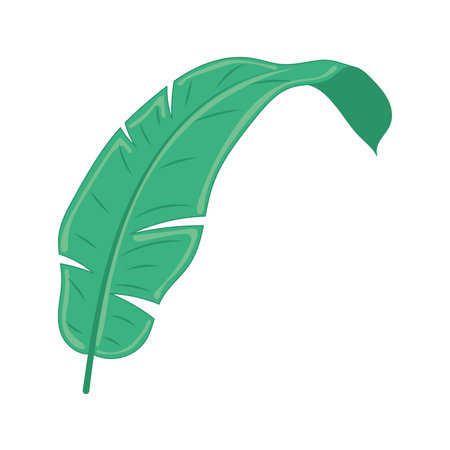 Curved teal leaf with soft lines and detailed texture Vectorのイラスト素材