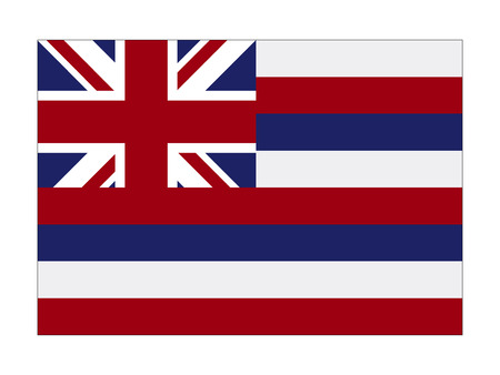 USA state flag of Hawaiiのイラスト素材