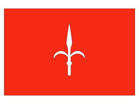 Flag of the Italian City of Trieste, Italyのイラスト素材