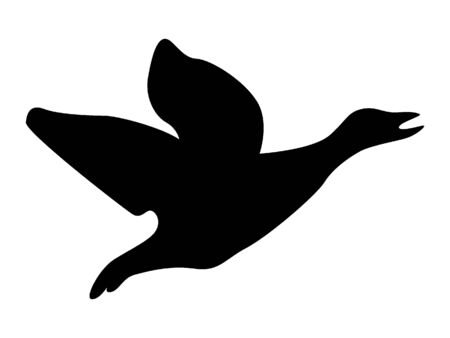 Black Flat Silhouette Drawing of a Flying Duckのイラスト素材