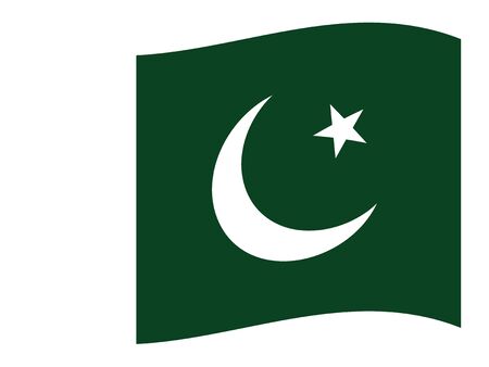 Waving Flat Flag Asian Country of Pakistanのイラスト素材