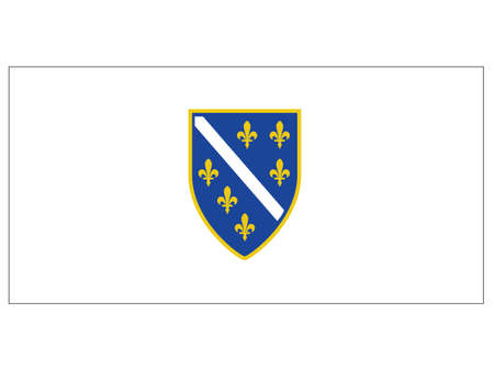 Vector Illustration of the Historical Timeline Flag of Bosnia and Herzegovina from 1992 to 1998のイラスト素材