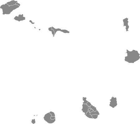 Gray vector map of Cape Verde with white borders of its municipalities and civil parishesのイラスト素材