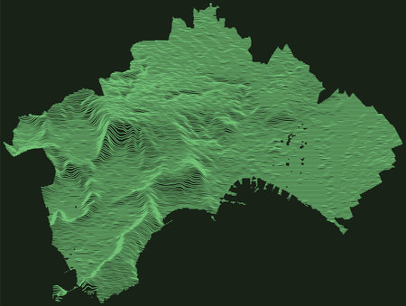 Topographic military radar tactical map of Naples, Italy with emerald green contour lines on dark green backgroundのイラスト素材