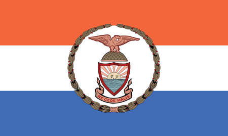 Vector flag illustration of the New Yorker borough of The Bronxのイラスト素材