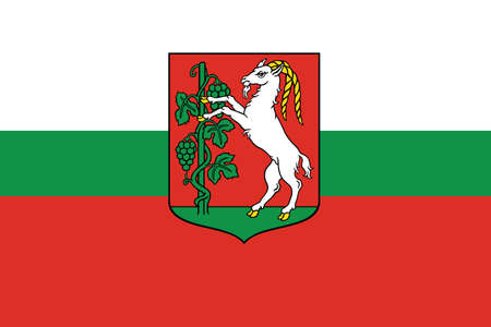Official flag vector illustration of the Polish regional capital city of Lublin, Polandのイラスト素材