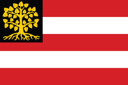 Official flag vector illustration of the Dutch regional capital city of 'S-HERTOGENBOSCH, NETHERLANDSのイラスト素材