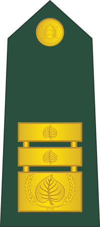 Shoulder pad  officer mark for the GENERALMAJOR insignia rank in the Slovenian Ground Forceのイラスト素材