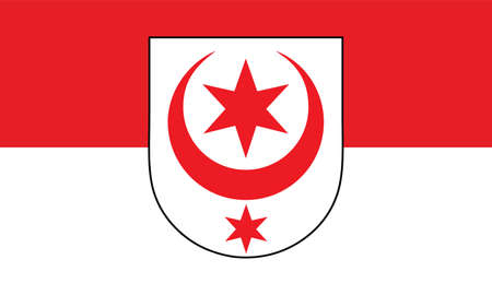 Official flag vector illustration of the German regional capital city of HALLE (SAALE), GERMANYのイラスト素材