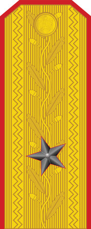 Shoulder pad  officer mark for the GENERAL DE BRIGADÄ (BRIGADIER GENERAL) insignia rank in the Romanian Land Forcesのイラスト素材