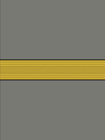 Shoulder pad  officer mark for the ALFERES (SUB-LIEUTENANT) insignia rank in the Portuguese Armyのイラスト素材